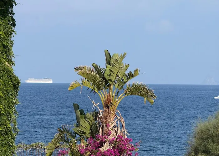 Sunshine * 蒙德罗